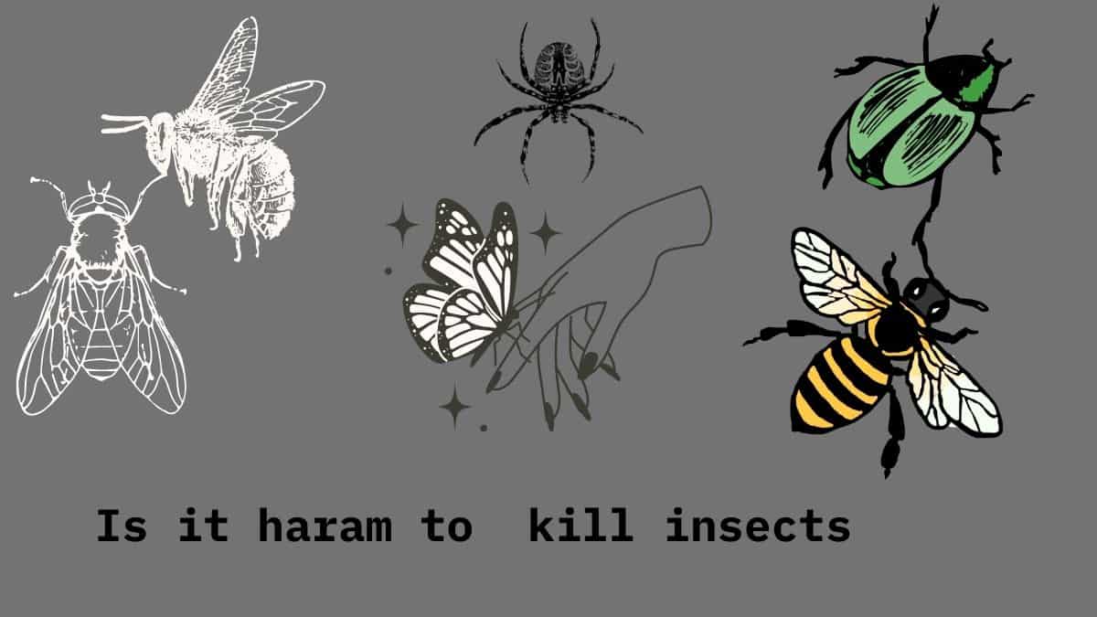 Is it haram to kill insects? True and correct answer for you